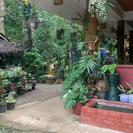 Jungleview Home Stay Idukki Exterior photo