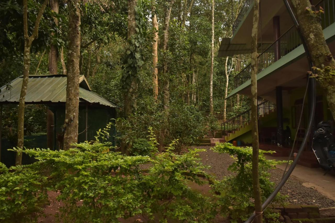 Jungleview Home Stay Idukki Exterior photo
