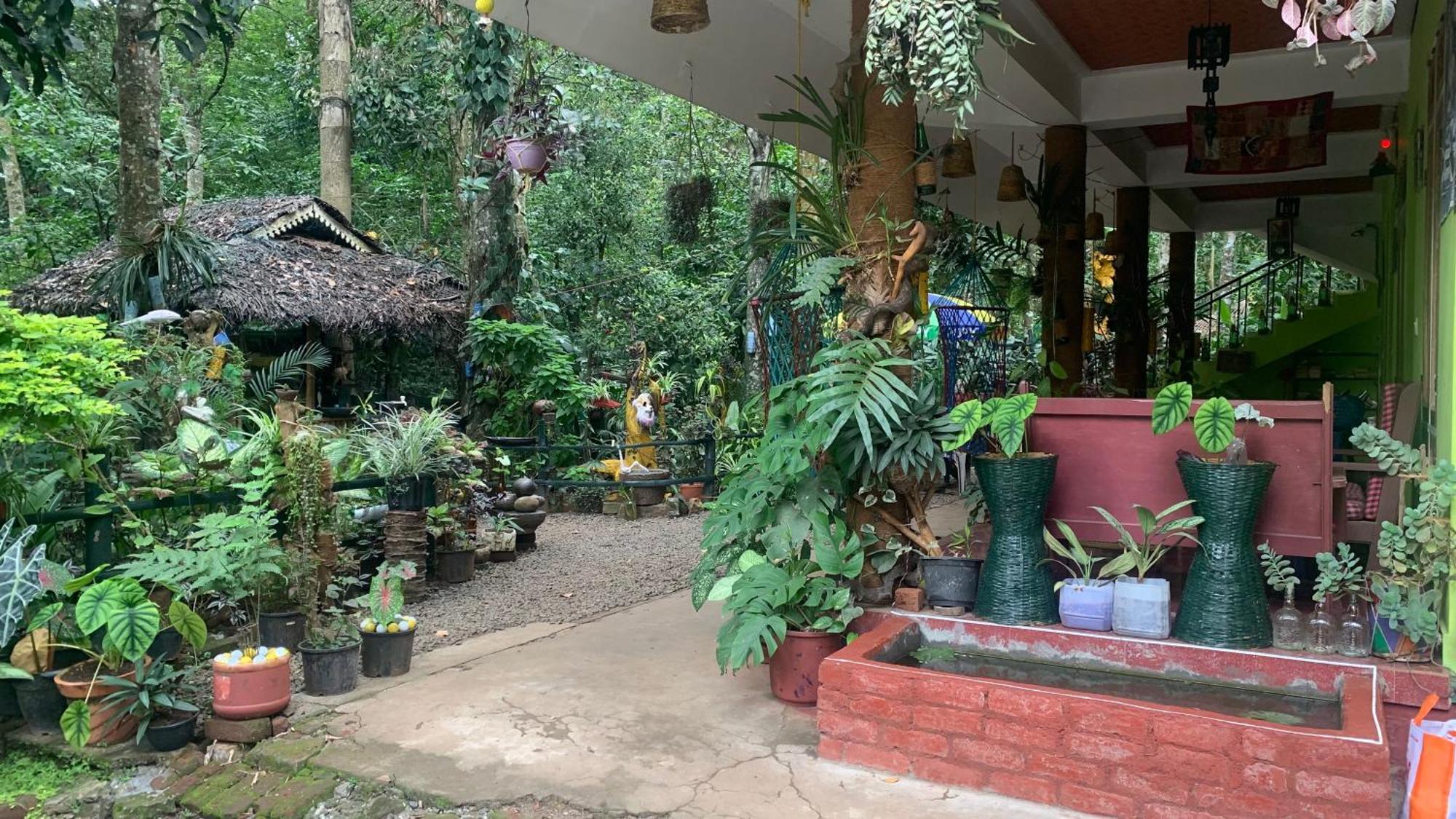 Jungleview Home Stay Idukki Exterior photo