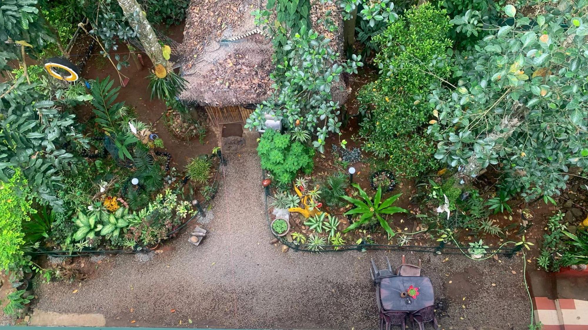 Jungleview Home Stay Idukki Exterior photo