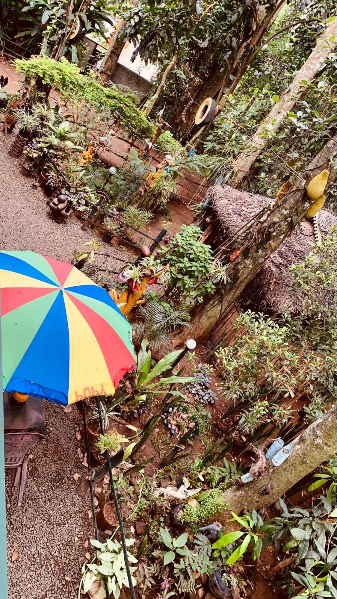 Jungleview Home Stay Idukki Exterior photo