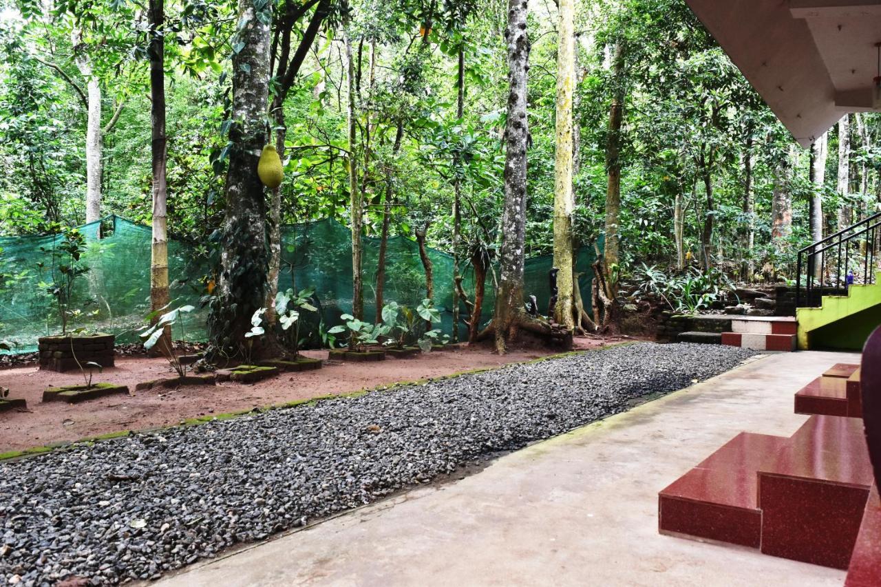 Jungleview Home Stay Idukki Exterior photo