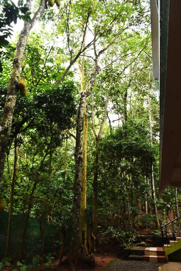 Jungleview Home Stay Idukki Exterior photo