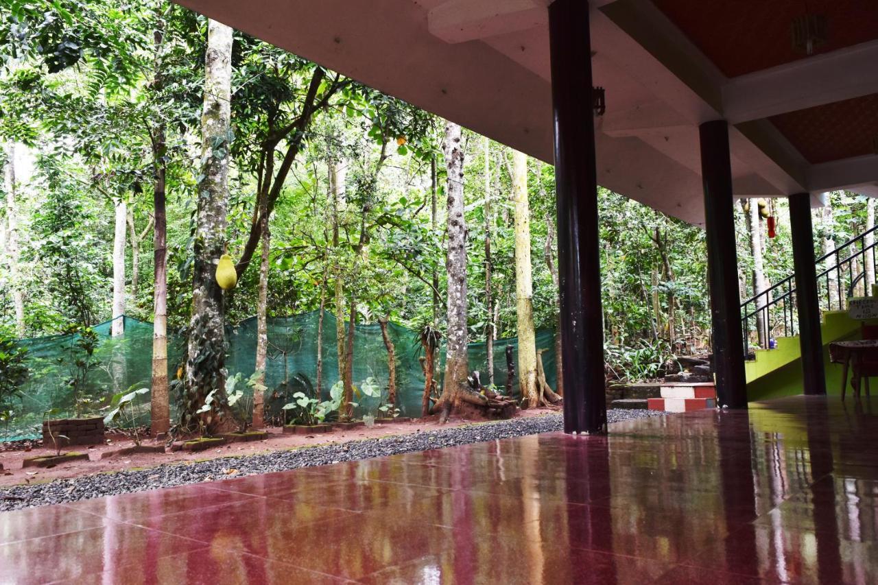 Jungleview Home Stay Idukki Exterior photo